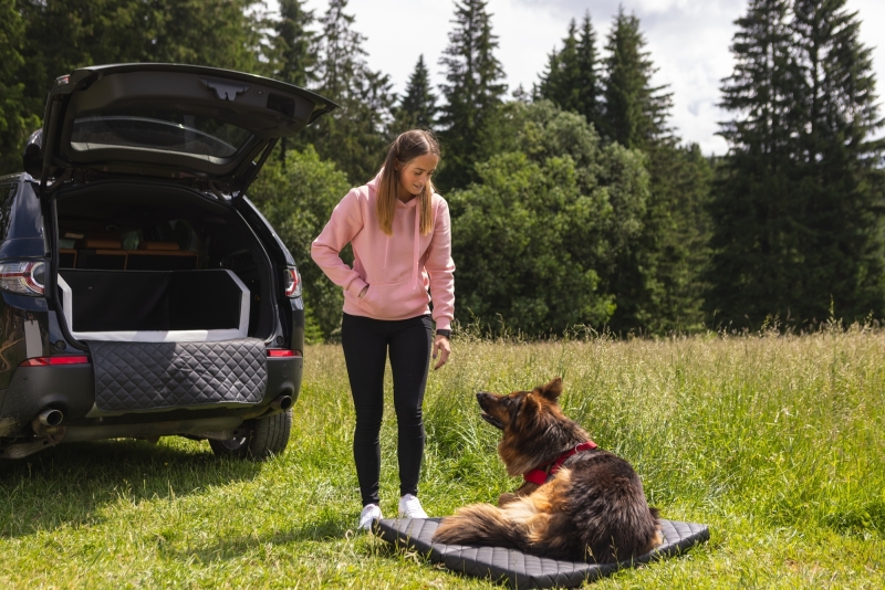 Lit De Coffre Pour Chien Velinda - Transporteur Voiture Avec Matelas 90x55 Cm - Protection Peinture Et Sécurité - Noir Ou Bleu - Nettoyage Facile